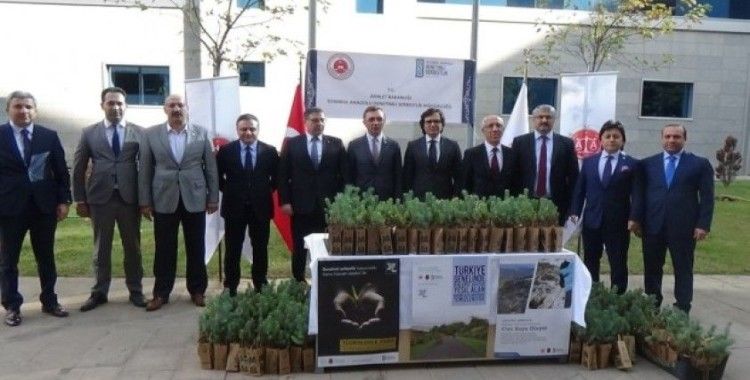 Anadolu Adalet Sarayı’nda 500 fidan toprakla buluştu