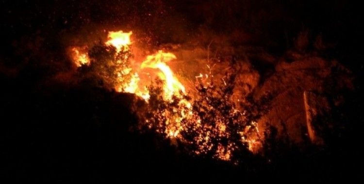 Samandağ’da tarihi mağaralara yakın yerde çıkan yangın kontrol altına alındı