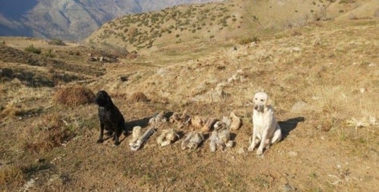 Bitlis'te terör örgütüne ait 8 adet EYP ele geçirildi
