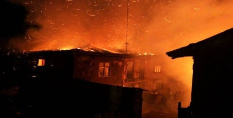 Sakarya’da çıkan yangında iki ev kullanılamaz hale geldi