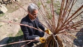 Söğüt dalları Seydali ustanın ellerinde sepete dönüşüyor