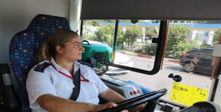 Kadın otobüs şoförü kedileri için görevinden istifa etti