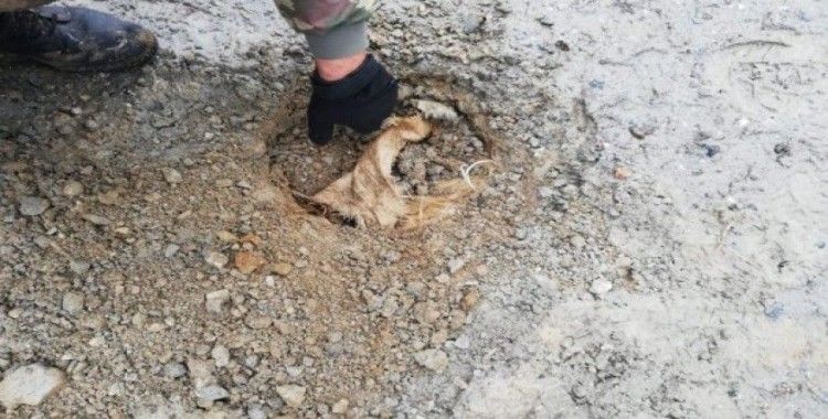 Bitlis kırsalında PKK'lılar tarafından köy yoluna gömülmüş EYP ele geçirildi