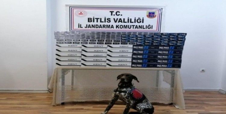Bitlis’te 5 bin 150 paket kaçak sigara ele geçirildi