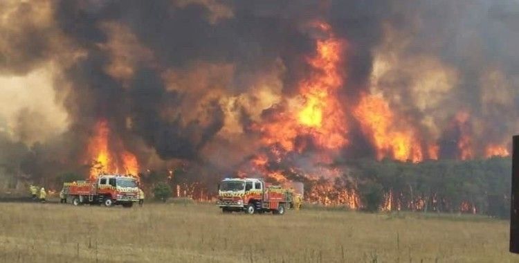 Avustralya'daki yangınlarda milyonlarca euroluk maddi hasar