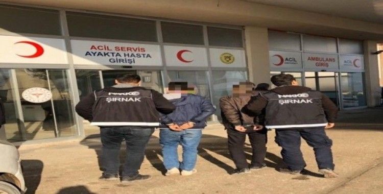 Cizre’de 1 torbacı tutuklandı