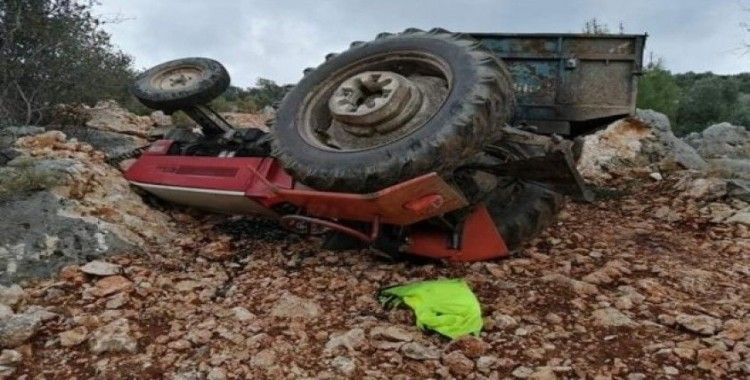 Zeytin yüklü traktör devrildi: 1 yaralı