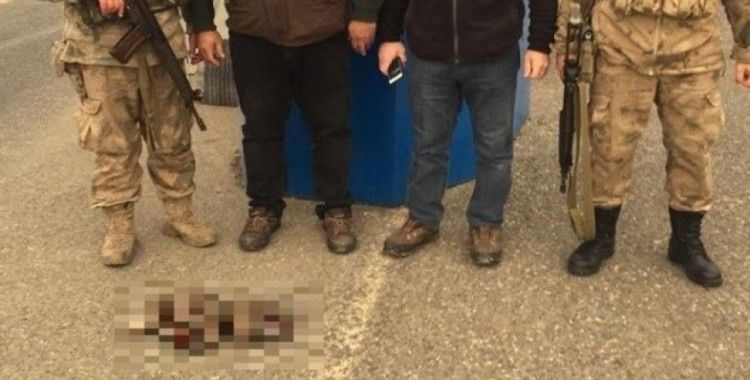Tunceli’de kaçak avlanan 5 şahıs yakalandı
