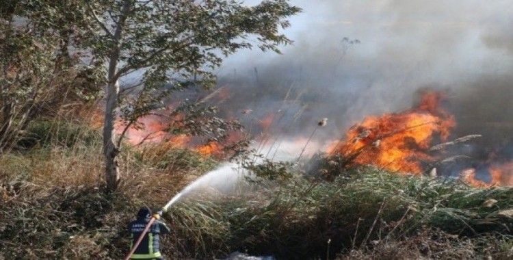 Antalya’da sazlık yangınında bazı evler tedbir amaçlı tahliye edildi