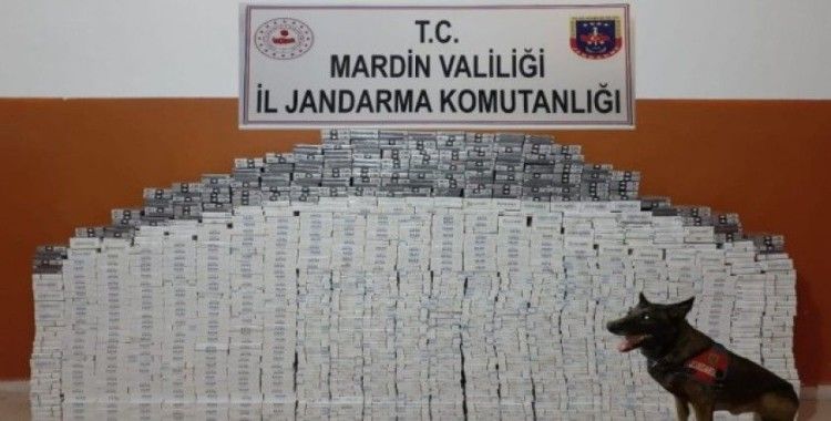 Mardin’de 8 bin 470 paket kaçak sigara ele geçirildi