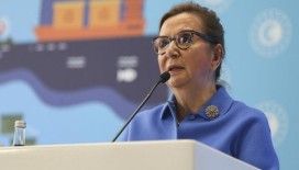 Koronavirüsüne karşı gümrüklerde ön tedbir alınacak