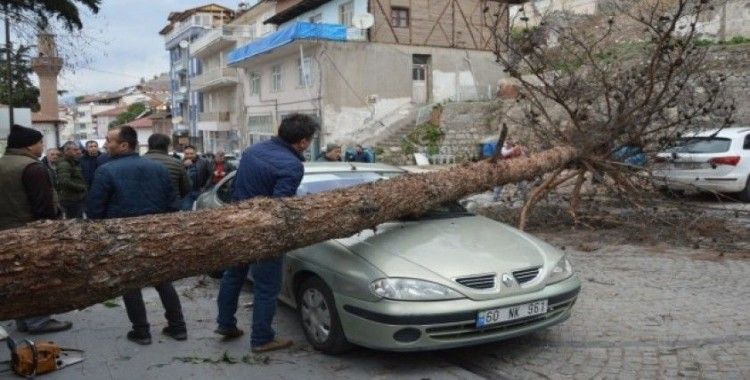 Şiddetli rüzgar ağacı kökünden söktü araçların üstüne devrildi