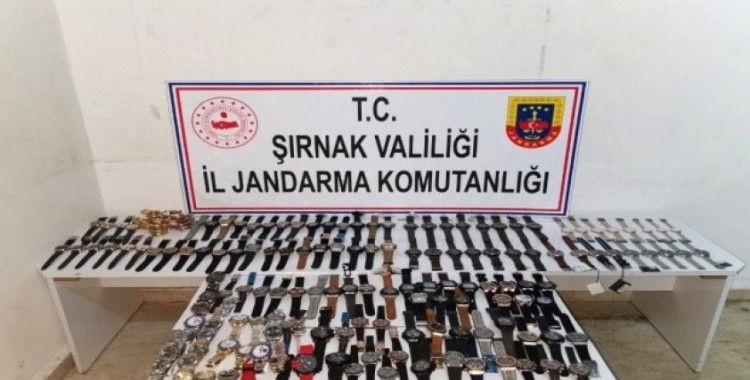 Şırnak’ta kaçakçılık ve terörle mücadele operasyonları: 58 gözaltı