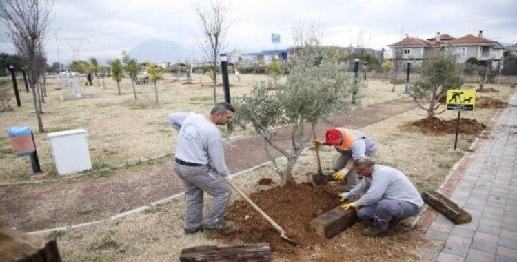 Döşemealtı Belediyesi, Elazığ depreminde hayatını kaybedenleri unutmadı