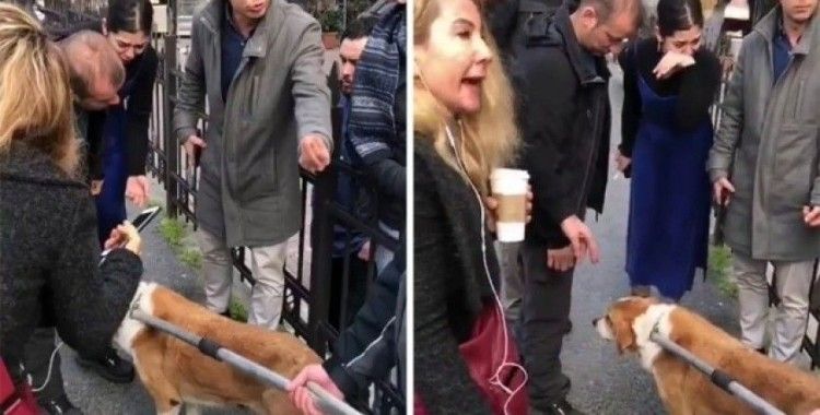 Hayvanseverlerden Beşiktaş Belediyesi’ne tepki