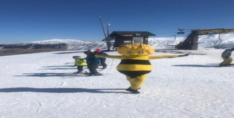 Arı Maya kostümüyle snowbord yapıp, Davraz kayak merkezini tek başına tanıttı