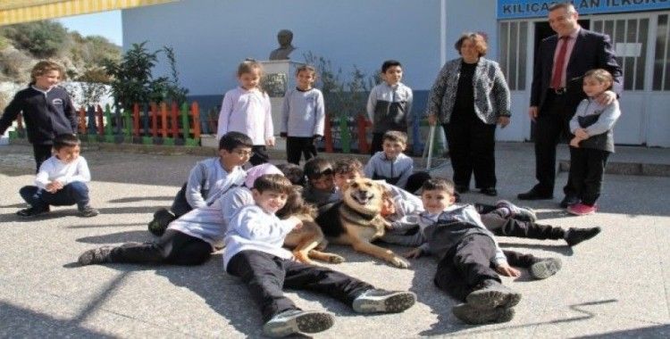 (Özel) Alanya’da engelli köpek ‘Şirin’ öğrencilerin ilgi odağı oldu