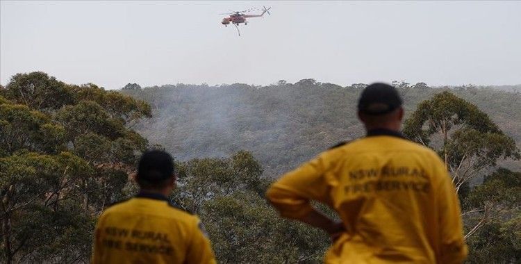 Yangınlar Avustralya'daki ormanların yüzde 21'ini yok etti