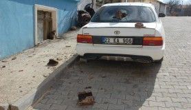 Tekirdağ'da şiddetli fırtına: otomobil hasar gördü