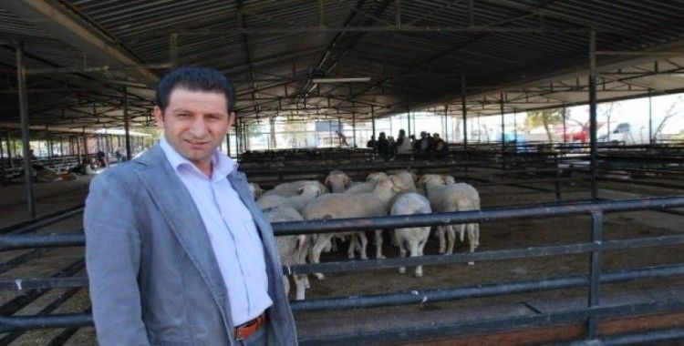 Aydın il genelinde hayvan pazarları kapatıldı