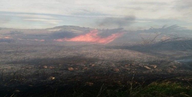 Antalya'da sazlık yangınında 30 dönüm alan zarar gördü