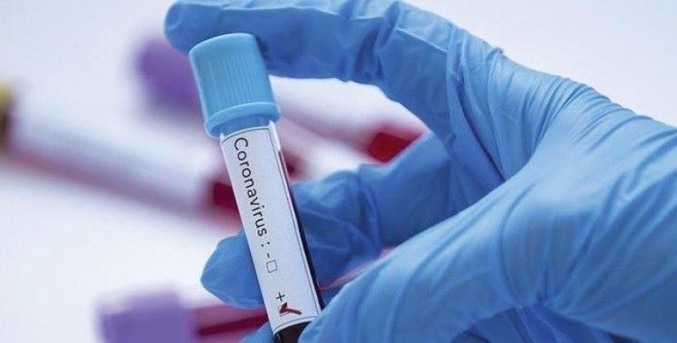 İstanbul Adliyesi'ndeki hakimin koronavirüs testi negatif çıktı
