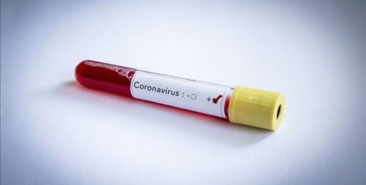 Koronavirüs sindirim yoluyla bulaşmıyor