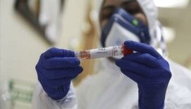 Filistin'de koronavirüs vakası sayısı 86'ya yükseldi