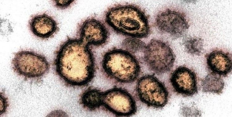 Korkutan koronavirüs açıklaması: 40 mutasyon geçirmiş virüs bulundu