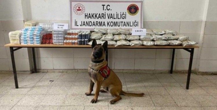 Yüksekova'da yüklü miktarda uyuşturucu madde ve tıbbi ilaç ele geçirildi