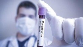 İsrail'de son 24 saatte 425 yeni Koronavirüs vakası doğrulandı