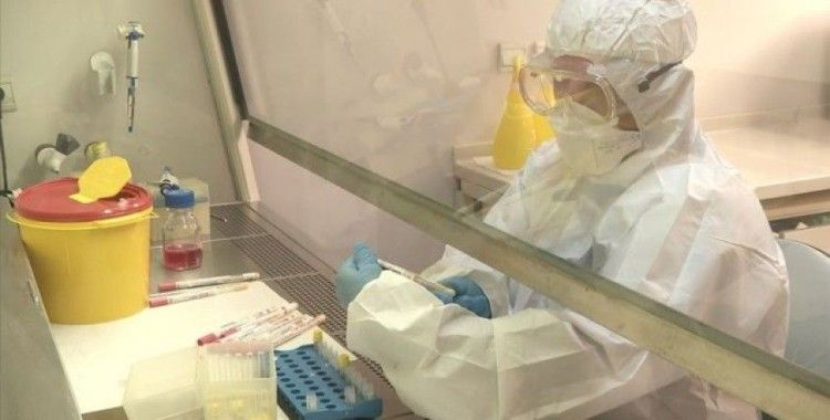 Kovid-19'a karşı yürütülen aşı çalışmalarına Tarım ve Orman Bakanlığından destek