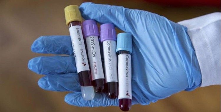 Hindistan sınırında koronavirüse kimyasal sprey önlemi