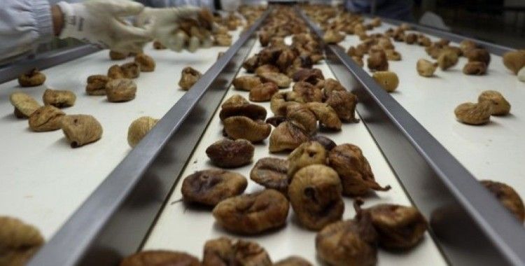 Türkiye'nin kuru meyve ihracatı 700 milyon doları aştı