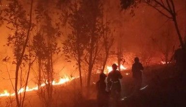 Çin'de orman yangınında itfaiye ekibi mahsur kaldı