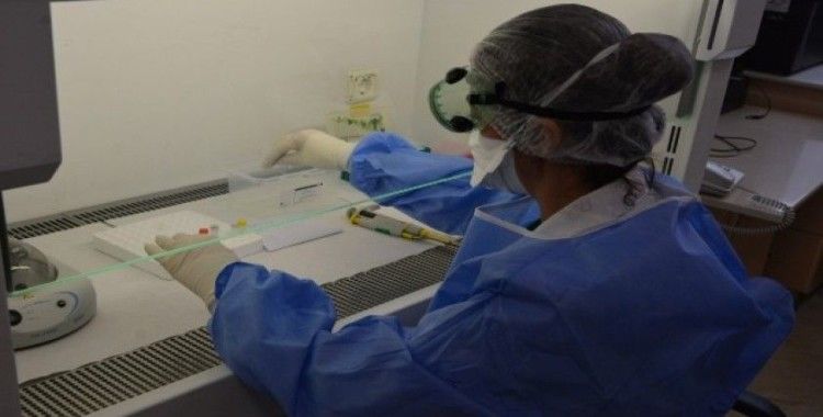 PAÜ korona virüs tanı laboratuvarı yetkilendirilmesi aldı