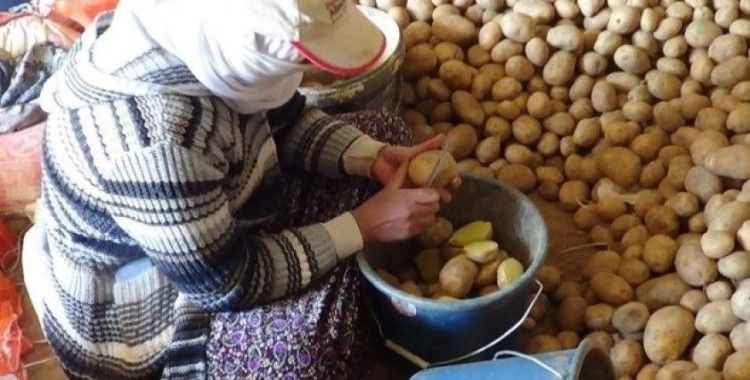 “Üretim durursa hayat durur” diyerek patates ekimini sürdürüyorlar