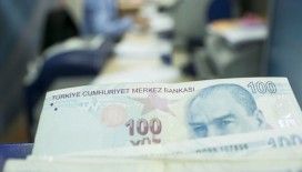 Hanelere 1000'er lira desteğin başvuru detayları belli oldu