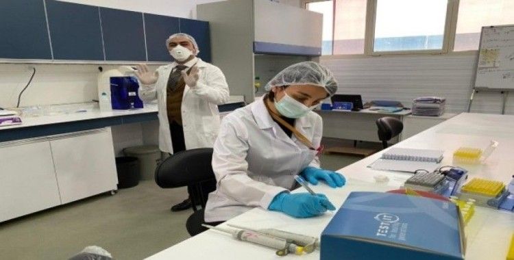 Türk bilim insanlarından büyük başarı