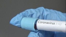 'Yanlış çıkarsa Nobel ödülümü yırtın' diyen profesör: Koronavirüs orada üretildi