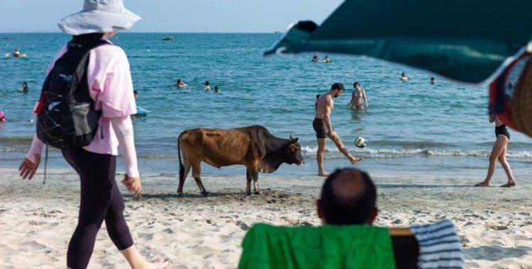 Hong Kong'da koronavirüse rağmen halk, plajlara akın etti