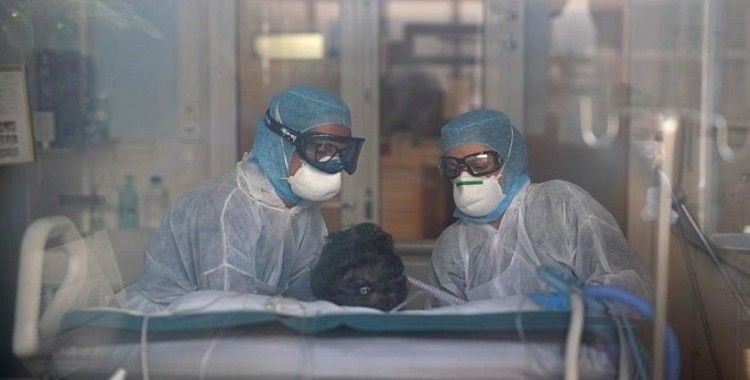 Fransa'da aralıkta hasta olan birinin Covid-19 testi pozitif çıktı, ilk vaka ocakta açıklanmıştı