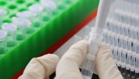 Dünya Sağlık Örgütü: ABD, Kovid-19'un Vuhan laboratuvarından çıktığı iddiasına kanıt sunmadı