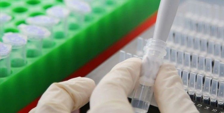 Dünya Sağlık Örgütü: ABD, Kovid-19'un Vuhan laboratuvarından çıktığı iddiasına kanıt sunmadı