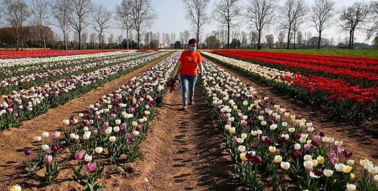 İtalya çiftliklerde istihdam edilmek üzere 200 bin göçmene çalışma izni verecek