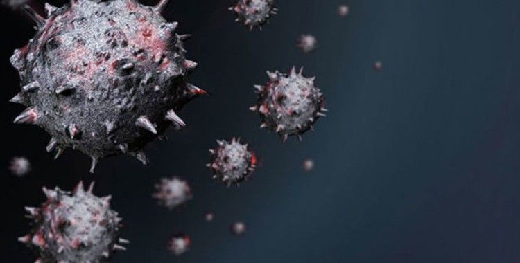 DSÖ'den kritik koronavirüs açıklaması: Virüsü kontrol altına almak 5 yılı bulabilir