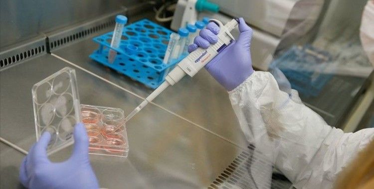 Japonya'da koronavirüs nedeniyle 8 kişi daha hayatını kaybetti