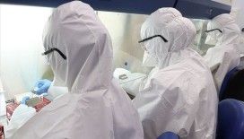 İsveç'te son 24 saatte koronavirüsten 88 kişi öldü