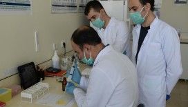 Kısa sürede çok sayıda analiz yapabilecek Kovid-19 test kiti geliştirildi