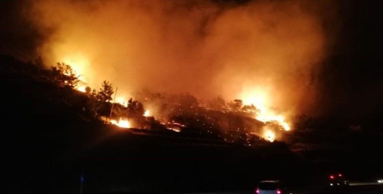 Mersin'de orman yangını: 3 hektar kızılçam ormanı zarar gördü